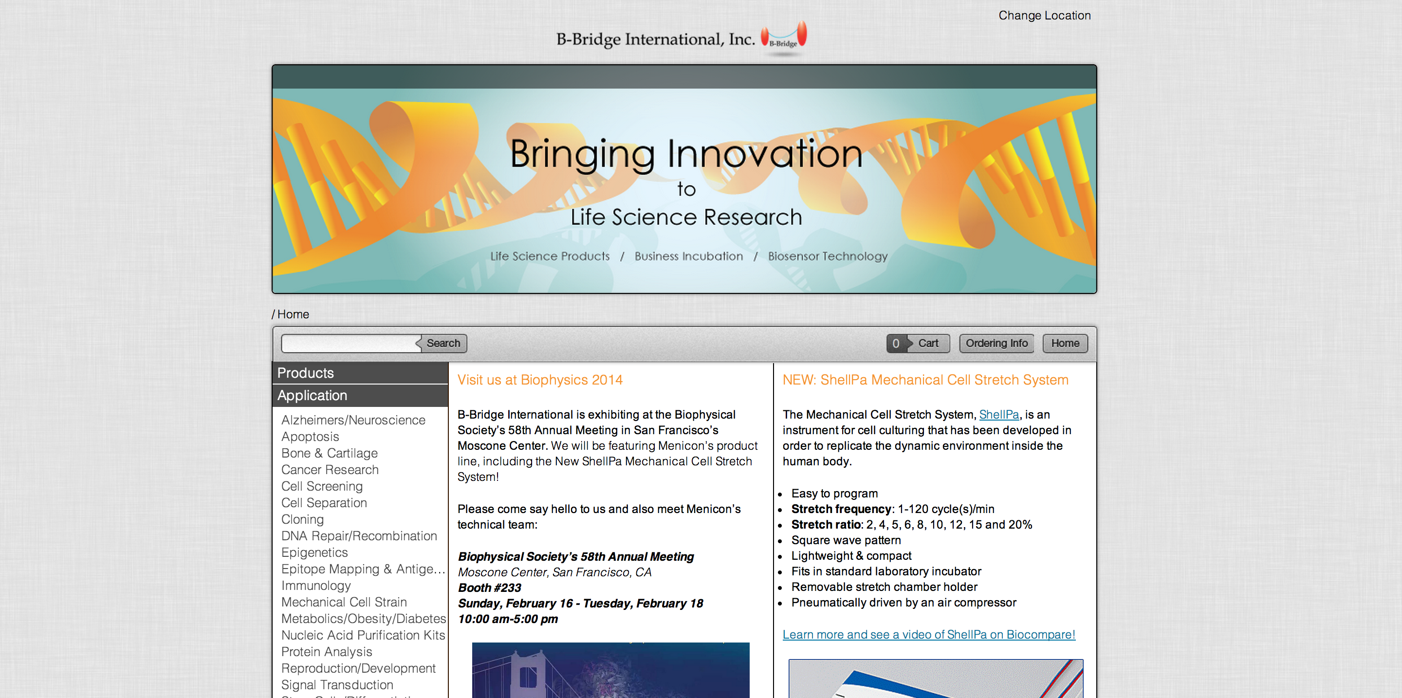 B-Bridge - Homepage