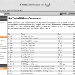 B-Bridge - Product List